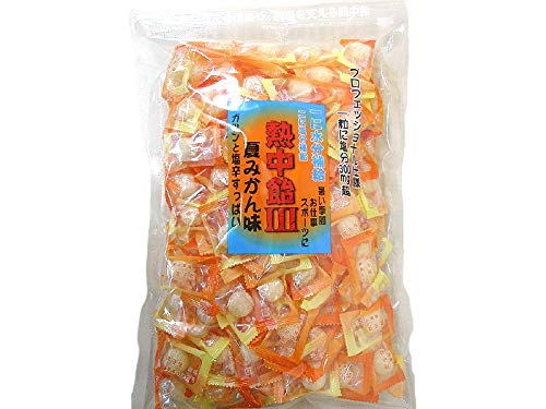 井関食品 熱中飴III 夏みかん味 1kgが激安特価！