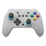 Switch コントローラー ワイヤレス ホール効果スティック RGB ライト 背面ボタン付き
