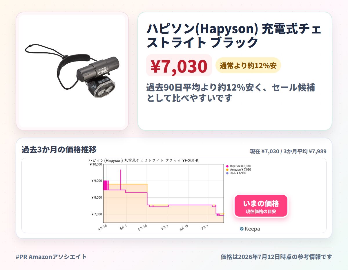 ハピソン(Hapyson) 充電式チェストライト ブラック YF-201-K