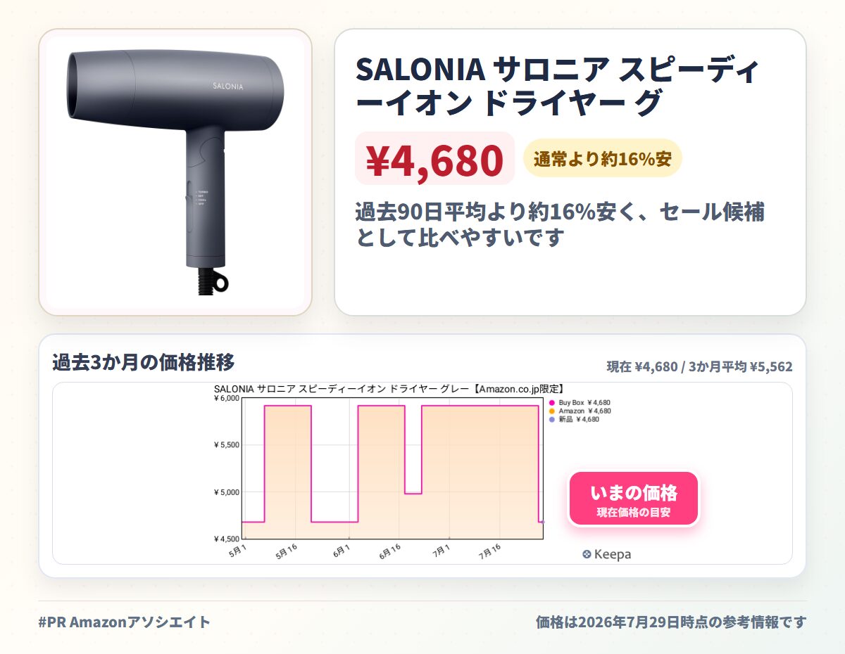 SALONIA サロニア スピーディーイオン ドライヤー グレー