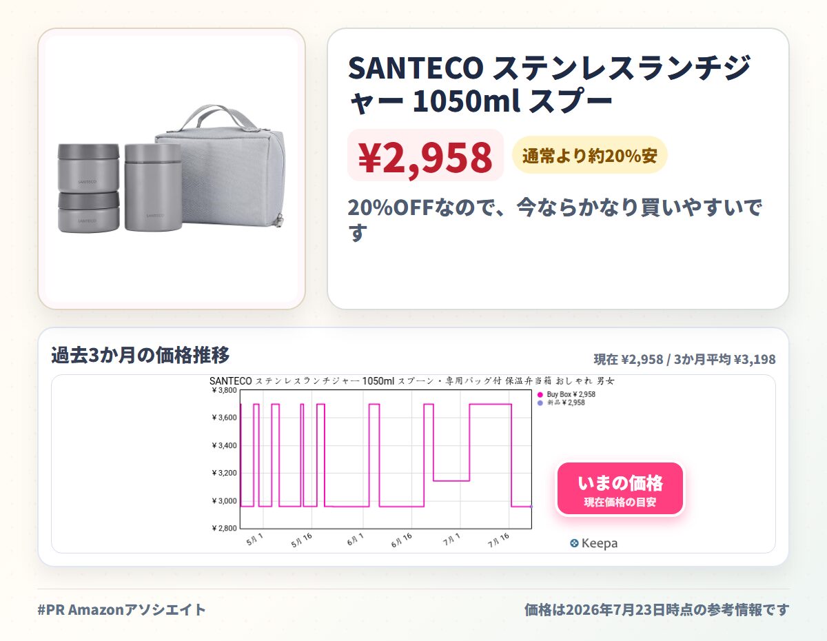 SANTECO ステンレスランチジャー 1050ml スプーン・専用バッグ付 保温弁当箱 おしゃれ 男女兼用 ピクニック 部活(木炭)